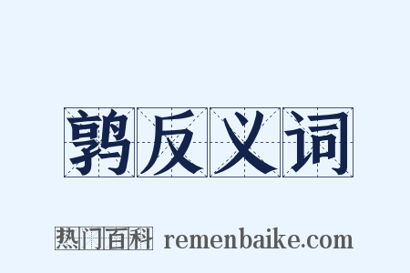 鹑反义词是什么意思的图片